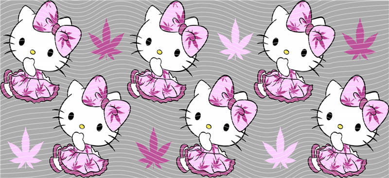 16oz Sanrio-K 286